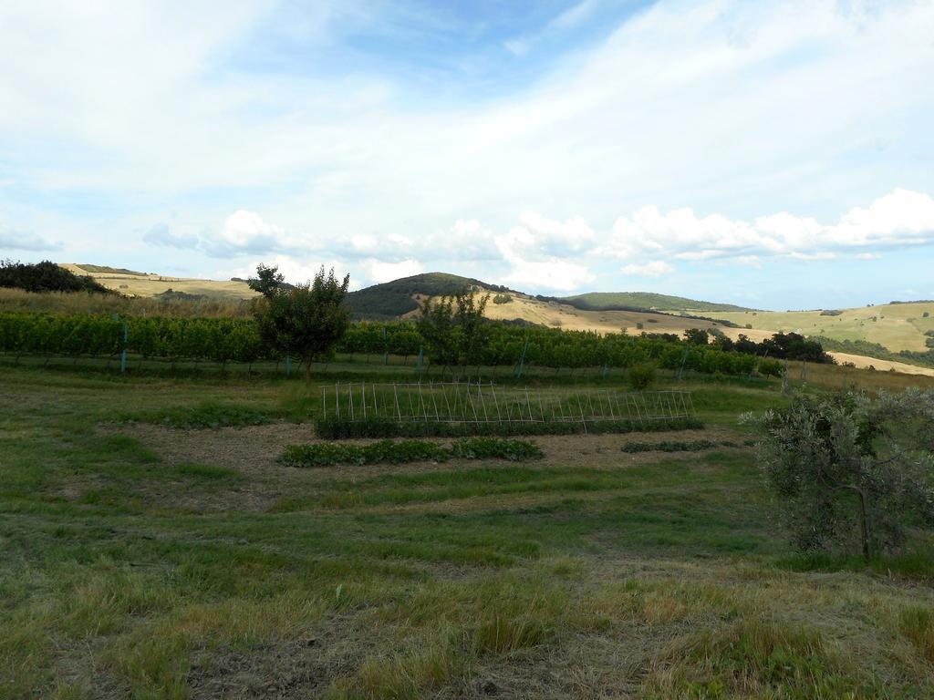 Agriturismo Santa Bruna Villa Volterra Esterno foto