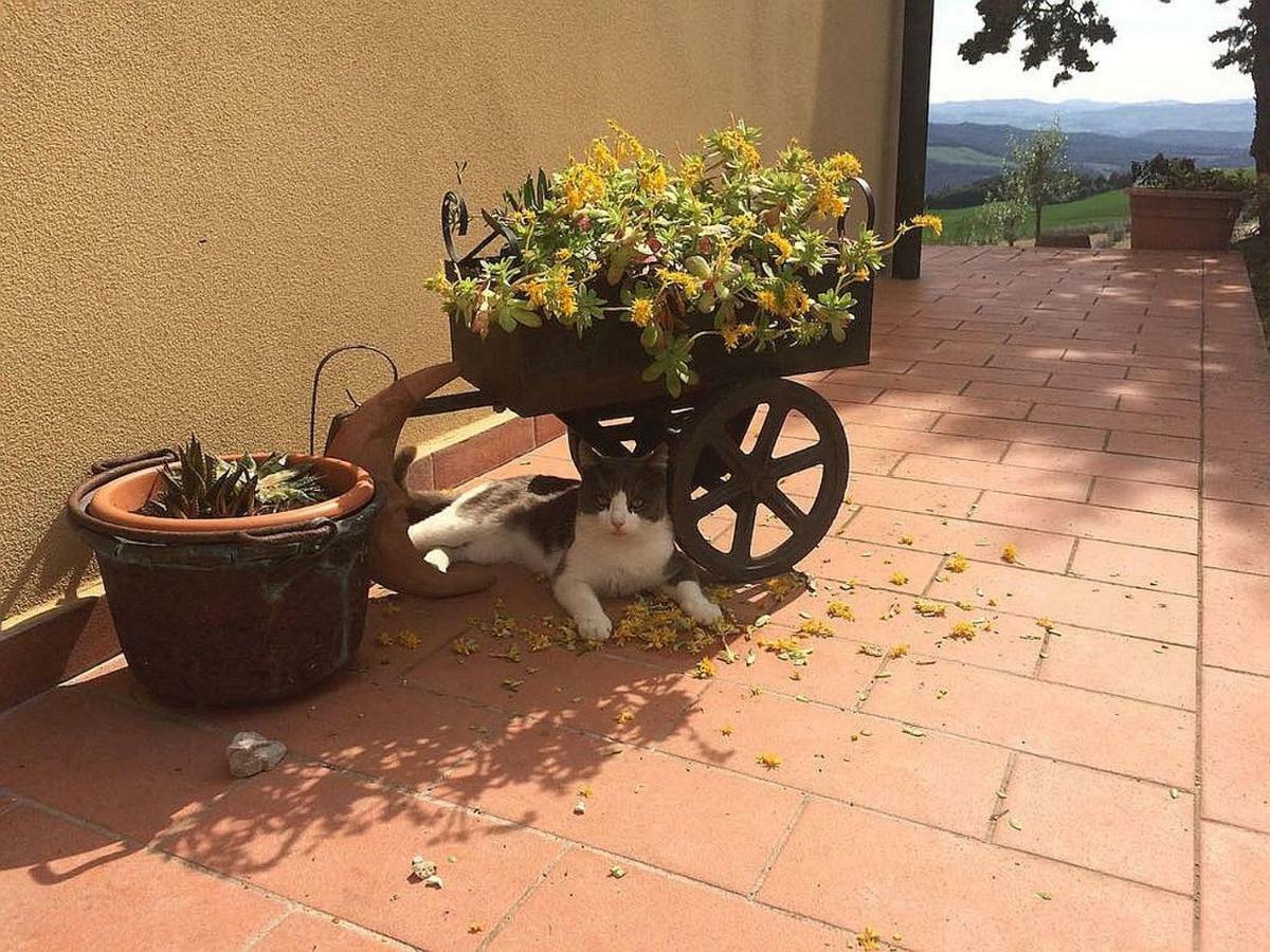 Agriturismo Santa Bruna Villa Volterra Esterno foto