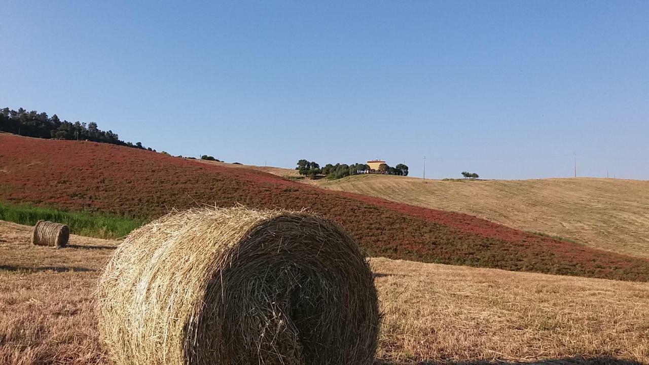 Agriturismo Santa Bruna Villa Volterra Esterno foto